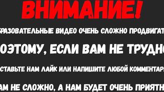 Слова на английском языке, фраза: У меня не было времени